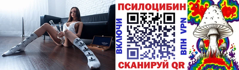Галлюциногенные грибы MAGIC MUSHROOMS  Котельниково 